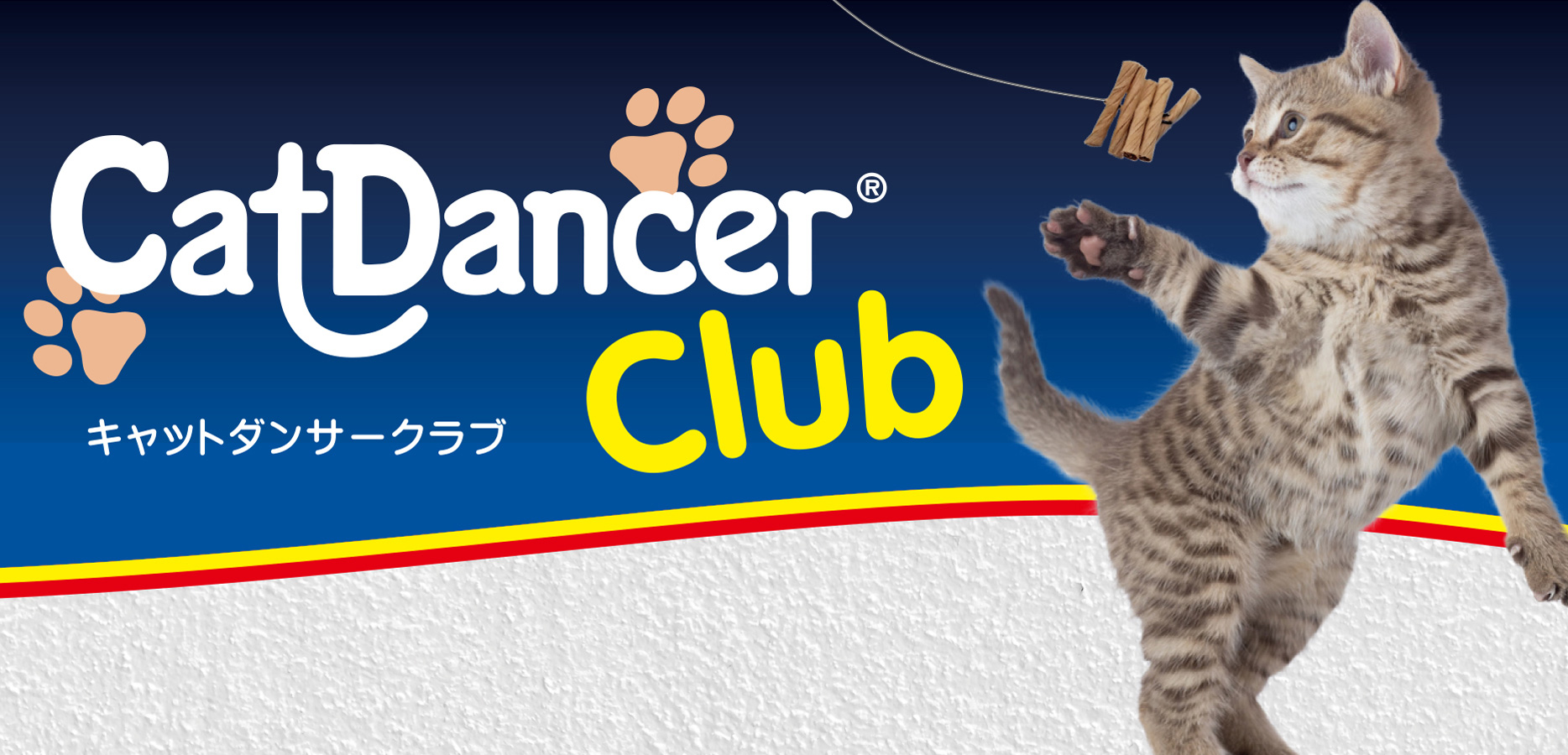 限定価格セール Cat Dancer Products(キャットダンサープロダクツ)猫用おもちゃ 猫じゃらしレインボー キャットチャーマー 